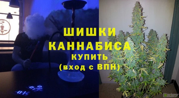 стафф Новодвинск