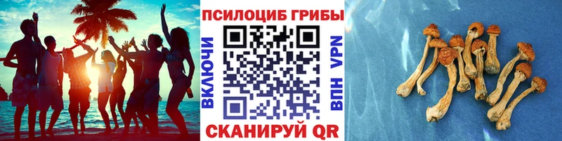 Галлюциногенные грибы прущие грибы  Исилькуль 